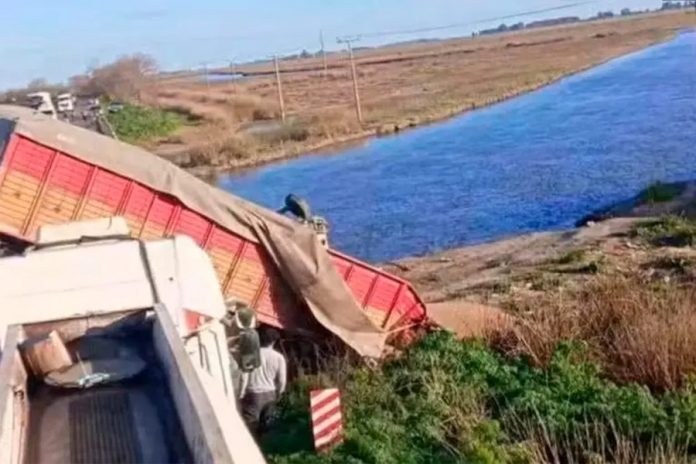 Un muerto y dos heridos graves: choque de cuatro camiones en la Ruta 51