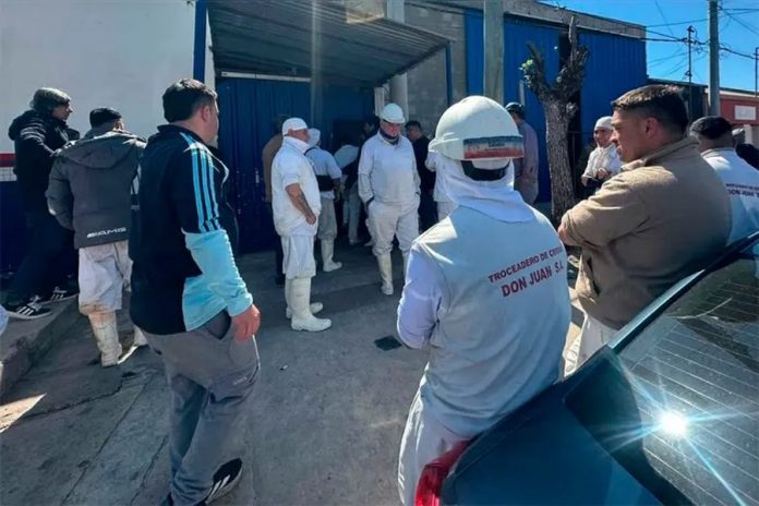 35 trabajadores afuera: los despidos en un frigorífico histórico de Santa Fe