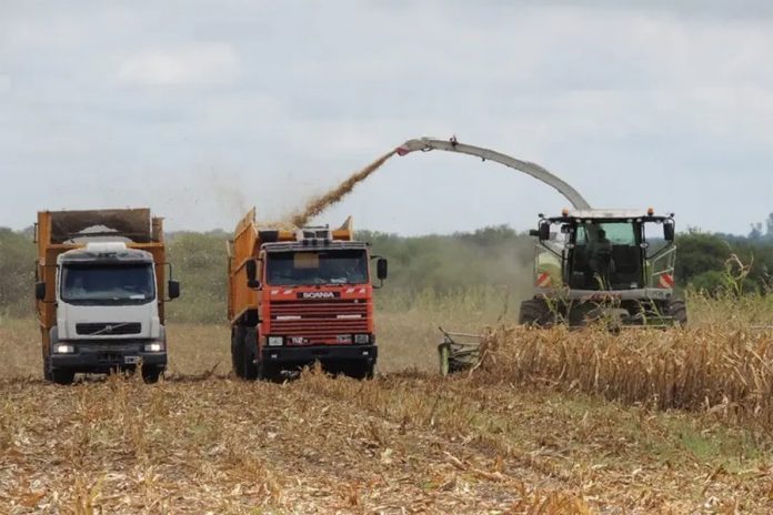 Entre Ríos tiene nuevo régimen ambiental para la producción