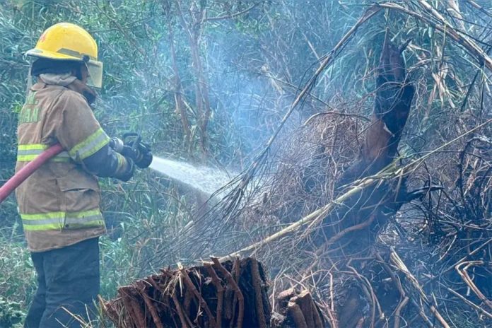 Incendio en un cañaveral de Paraná: el fuego amenazó un centro de diagnóstico