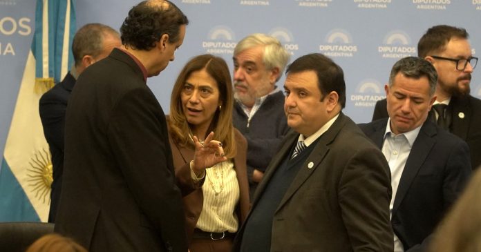 El forcejeo en Diputados por la Ley Malvinas: gritos, manotazos y un 'cagón'