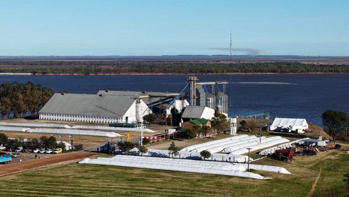LDC facturó US$26.800 millones en el primer semestre de 2026