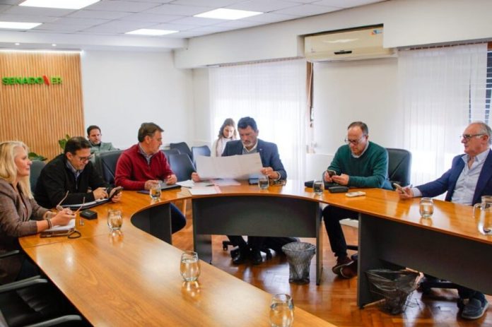 El Senado entrerriano avanza en beneficios fiscales para matarifes y avicultores