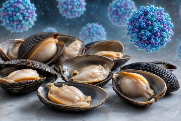 Brote de hepatitis A en EE.UU.: 37 casos vinculados a almejas congeladas