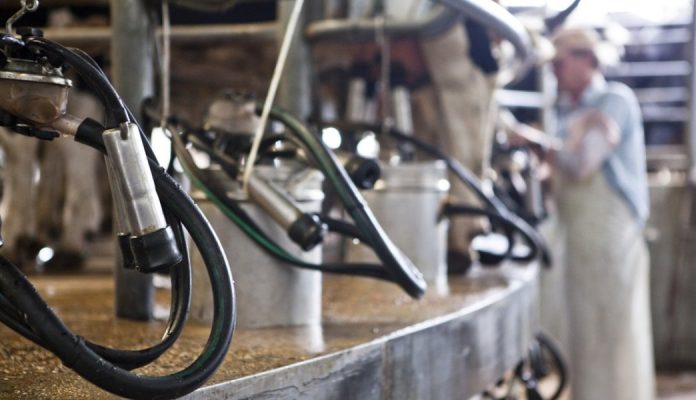 Leche en Entre Ríos: el precio de agosto superó la media nacional