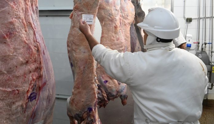 Argentina vuelve a exportar carne a Japón: U$S 3.000 millones