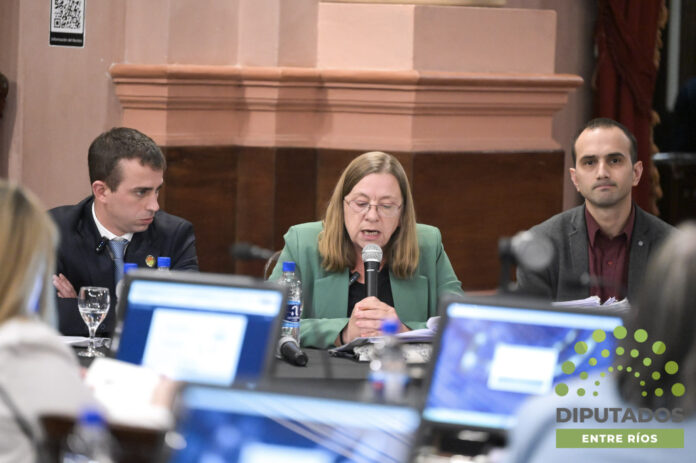 ¿Qué pasó con los comedores escolares? Berisso respondió en Diputados
