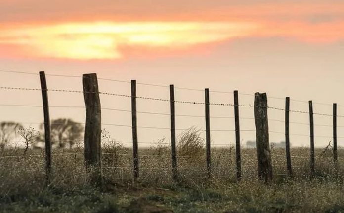 La disputa por la Ley de Tierras: del decreto de Macri al DNU de Milei