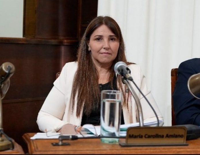 Amiano: “Las mujeres no estamos solo para completar la foto”