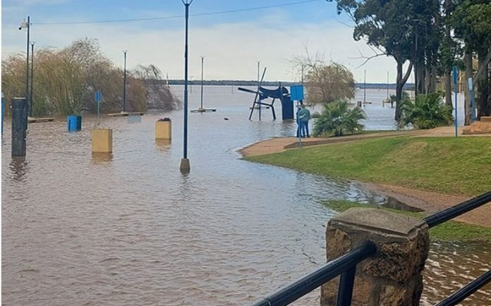 Defensa Civil monitorea ríos: baja en Concordia y alerta en Concepción