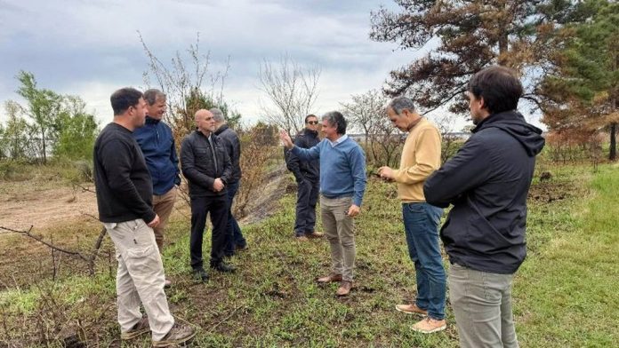 CTM recorrió las costas de Federación y se evalúa una intervención