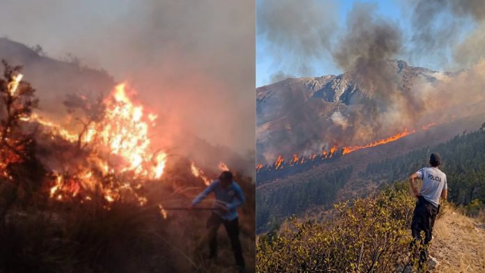 Cusco, Perú: cinco muertos y más de 16 mil hectáreas por incendios