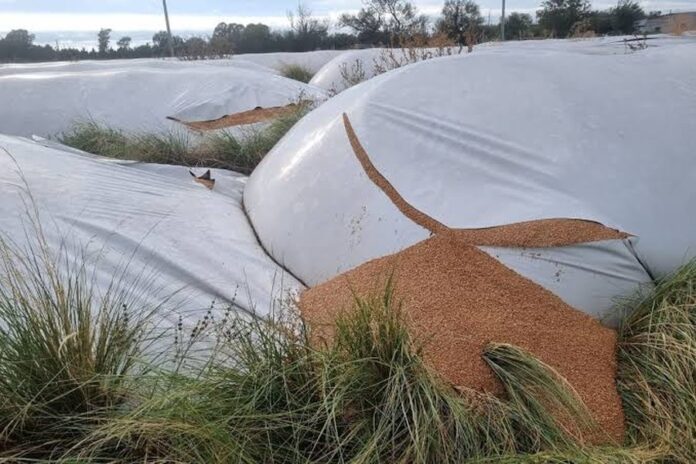 Diputados dio media sanción al proyecto contra el vandalismo rural