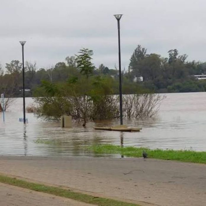 El río Uruguay podría llegar a niveles de evacuación en Concordia