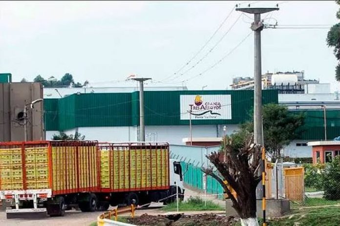 Granja Tres Arroyos ratificó 1.250 despidos en plantas bonaerenses