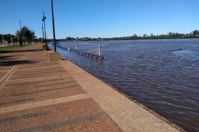 Río Uruguay: subirá en días, pero sin superar el nivel de alerta