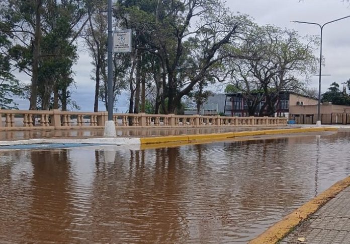 Creciente en Concordia: siete familias evacuadas por el río Uruguay
