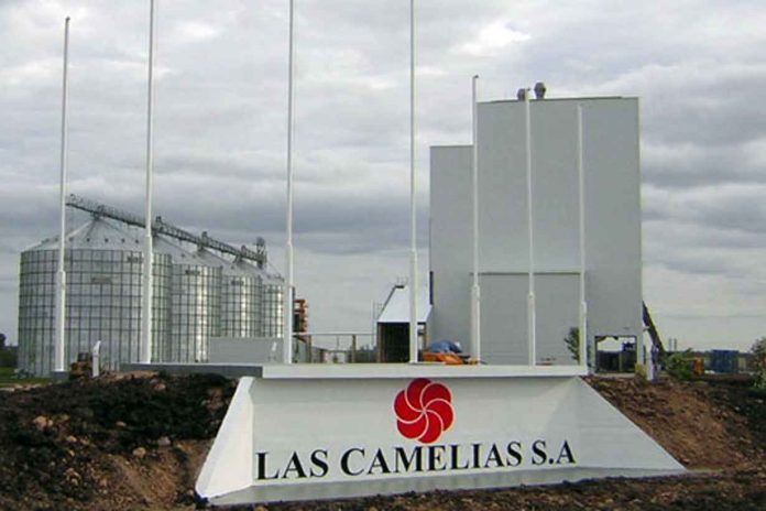 Aviaria: Granja Tres Arroyos en cesación de pagos y Las Camelias en expansión