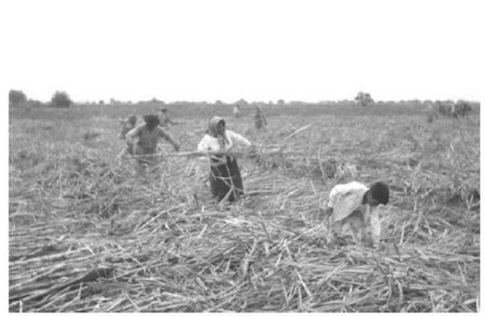 Las tierras ajenas: la apropiación que fundó el poder rural en Argentina