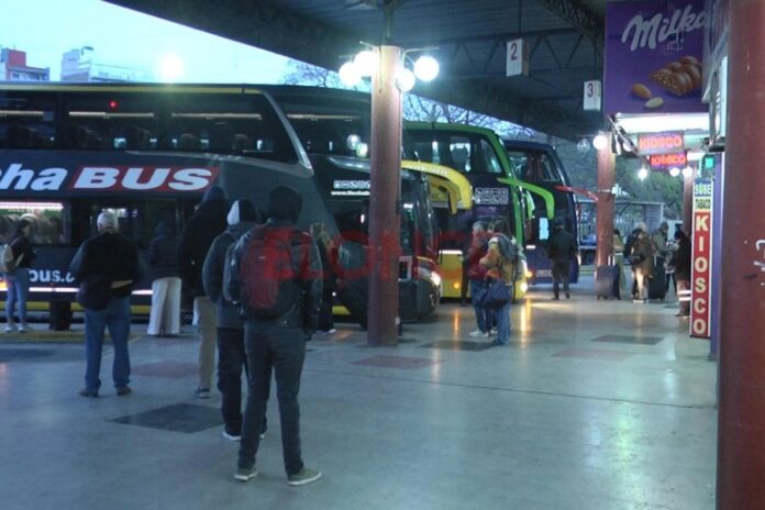 Prorrogaron permisos del transporte internacional terrestre: qué servicios