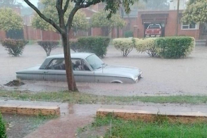 Súper Niño en Argentina: el SMN anticipa más lluvias para el Litoral