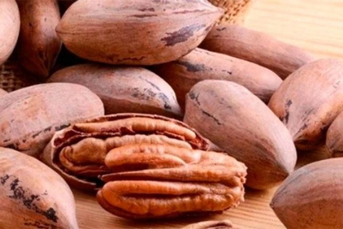 Entre Ríos concentra más del 45% de la superficie nacional de nuez pecán