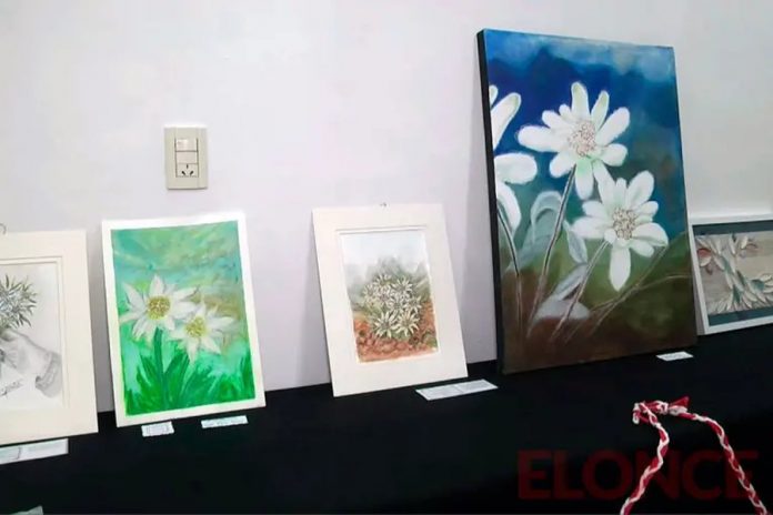 Paraná: la Unión Suiza y la Sociedad Austro-Húngara presentaron obras de arte