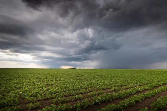 El Niño instalado: podrían bajar las proyecciones de lluvias