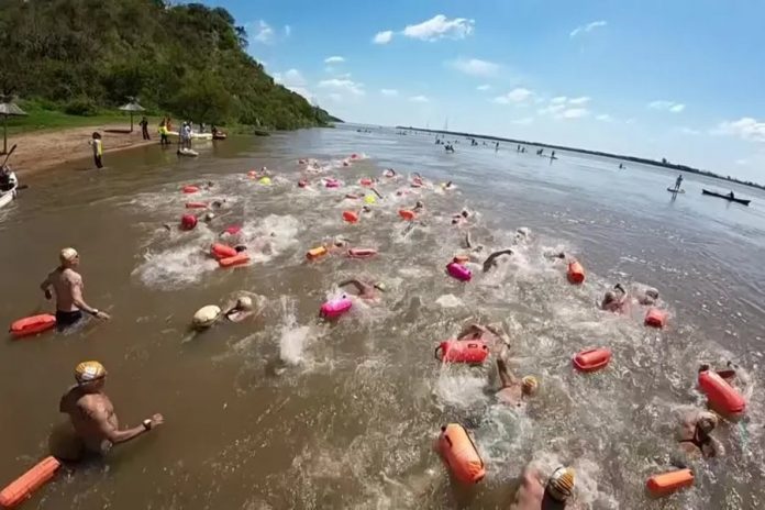 La Travesía del Paraná reunió a 160 nadadores