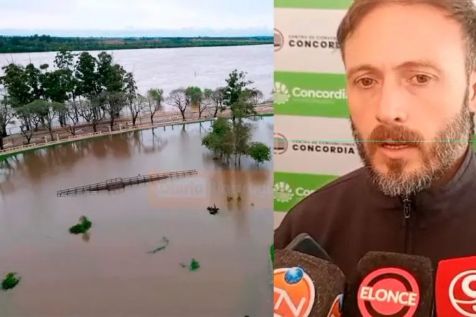 Azcué: el río Uruguay podría llegar a 15 metros en Concordia