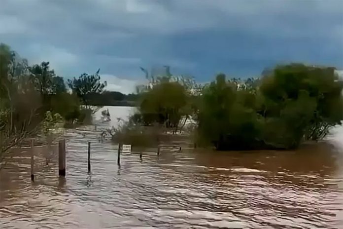 Colón a 20 cm de evacuar: la crecida del río Uruguay no para