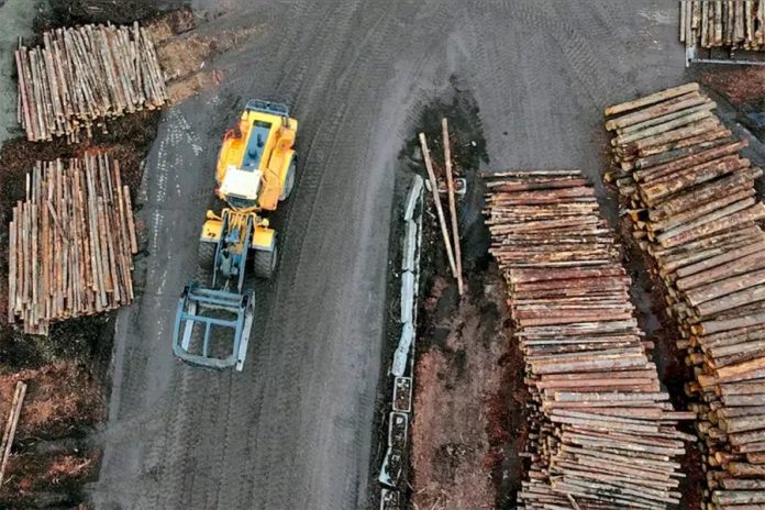 Quiebra en Misiones: Linor SRL dejó 130 despedidos y $500 millones en deudas