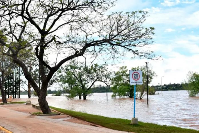 El río Uruguay seguirá bajando en Concordia: cómo evoluciona
