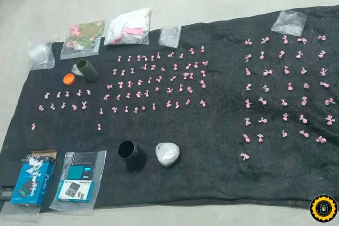 Seis detenidos y más de 220 envoltorios de cocaína en allanamientos de Paraná