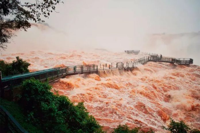 Crecidas de Paraná y Uruguay: 17 puertos del Litoral en alerta o evacuación
