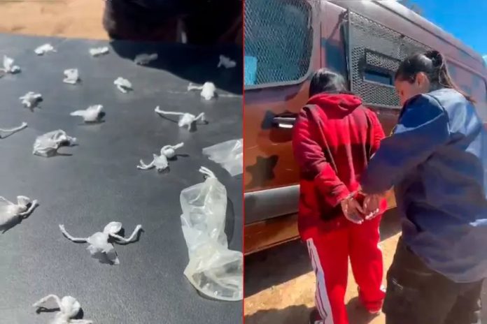 En Concordia, frenaron un colectivo de cosecheros: 60 envoltorios de cocaína