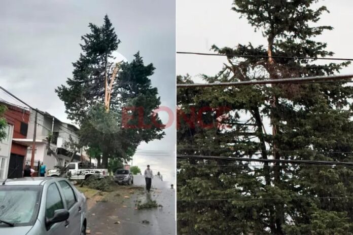 El rayo cayó sobre un pino en Paraná: la cámara captó el momento exacto