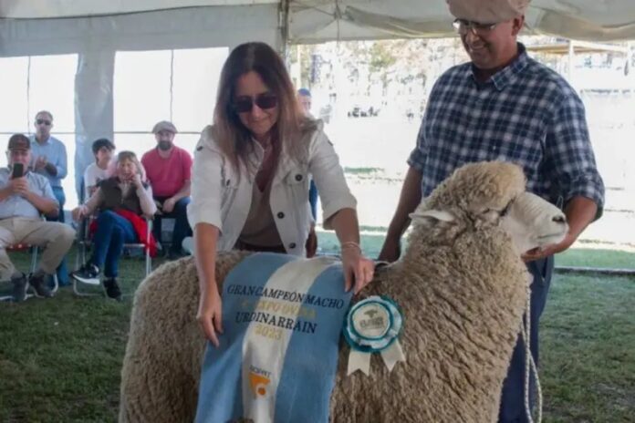 Urdinarrain hará la 9ª Expo Ovina con música, cocina y remate