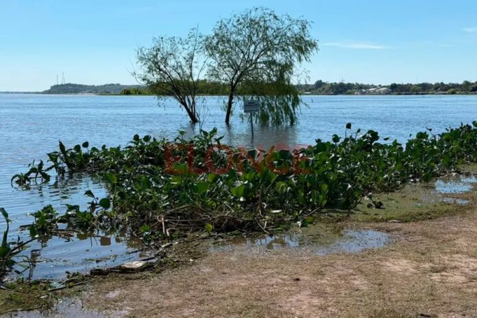 En Paraná, el río Paraná creció medio metro en una semana y llegó a 4,11 m