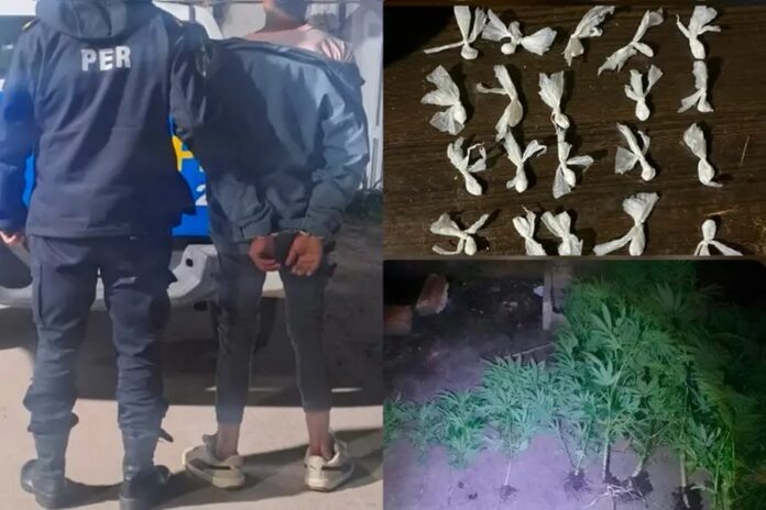 En Paraná, un hombre descartó cocaína y quedó detenido con 19 plantas