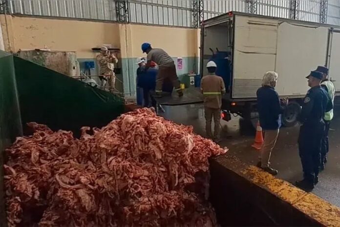 Decomisan 2.762 kilos de carne y grasa en mal estado en el Túnel Subfluvial