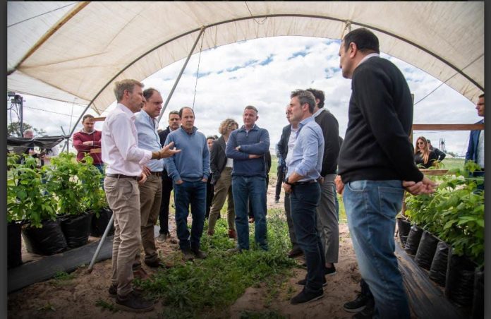 Frigerio en Colonia Ayuí: arándanos, cítricos y plan de inversión con CFI