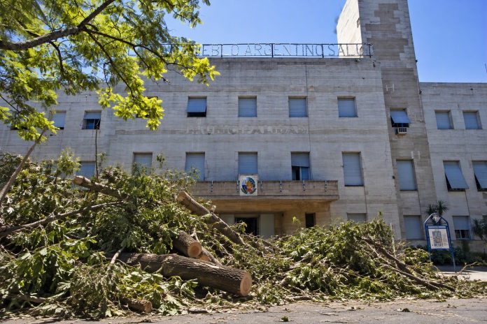 Emergencia ambiental en Concordia: $84 millones para retirar ramas y troncos