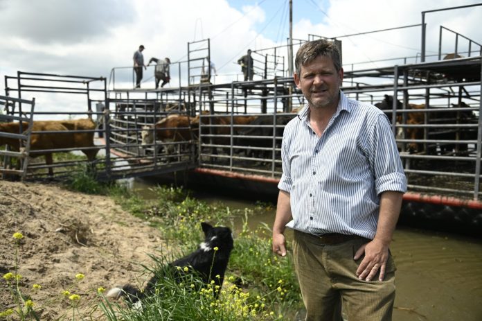 Ganarle al agua: el éxodo de la hacienda en las islas entrerrianas