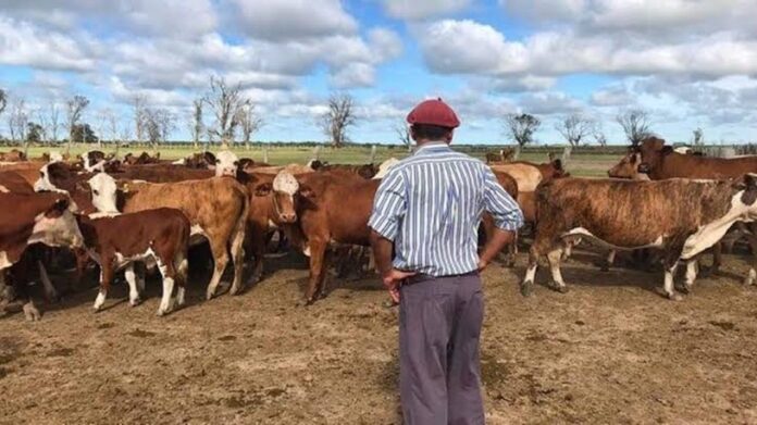 Plan de pagos de RENATRE: empleadores rurales regularizan deudas