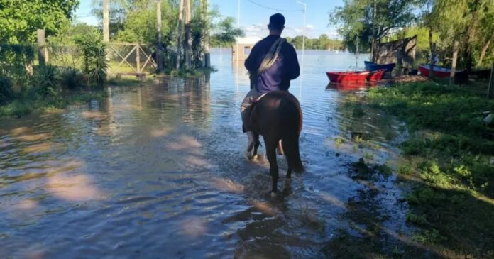 El Niño 2026: la OEA urgió a prepararse por lluvias, sequías y dengue