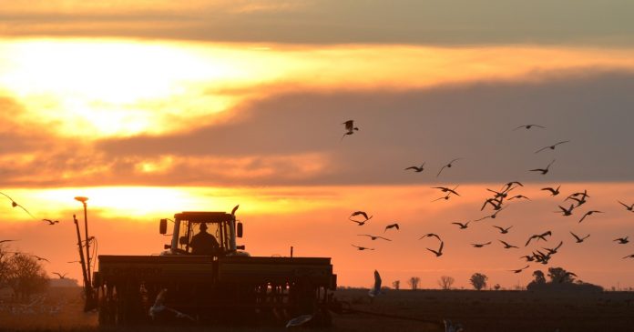 Costos del agro a 0,4% de los competidores: retenciones siguen pesando
