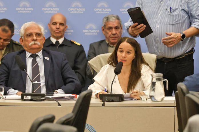 Tensión en Diputados: el Gobierno defiende Malvinas y rechaza dividirlo